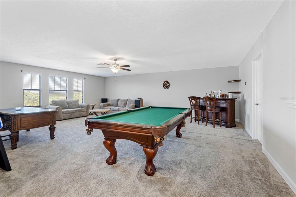 10066 Victory Gallop Loop Ruskin, FL 33573 - Photo 35 of 86