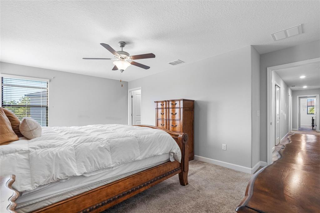 10066 Victory Gallop Loop Ruskin, FL 33573 - Photo 46 of 86