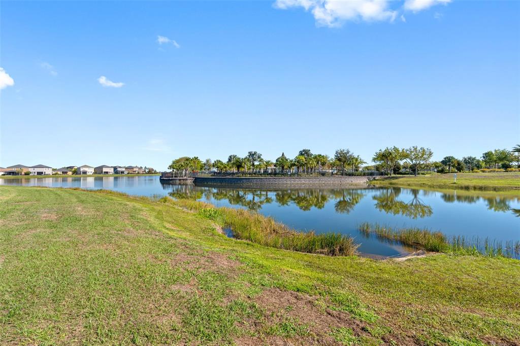 10066 Victory Gallop Loop Ruskin, FL 33573 - Photo 58 of 86