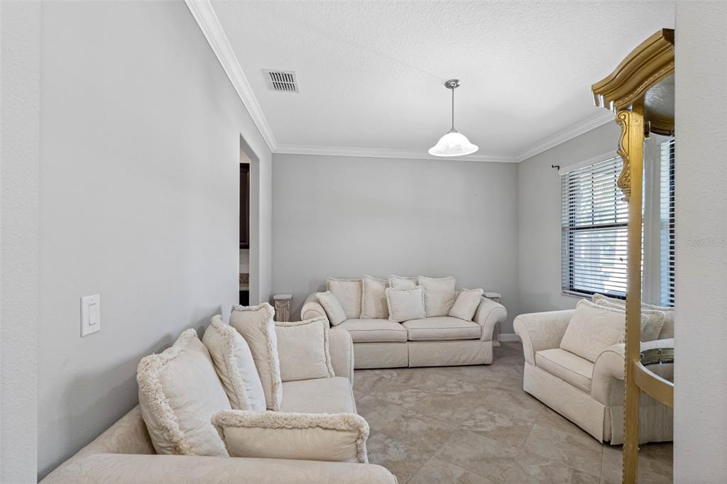 10066 Victory Gallop Loop Ruskin, FL 33573 - Photo 8 of 86