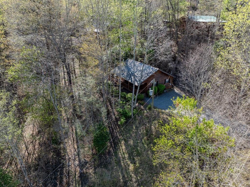 57 Rustys Ridge Bryson City, NC 28713 - Photo 59 of 74