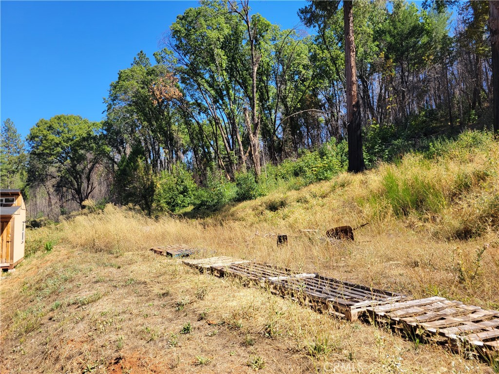 300 Bald Rock Road Berry Creek, CA 95916 - Photo 33 of 45 a view of a yard with trees