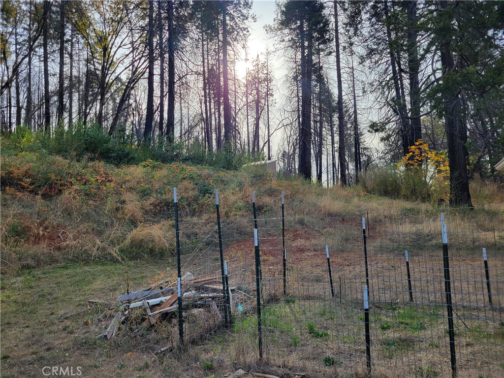 300 Bald Rock Road Berry Creek, CA 95916 - Photo 43 of 45 a view of a backyard
