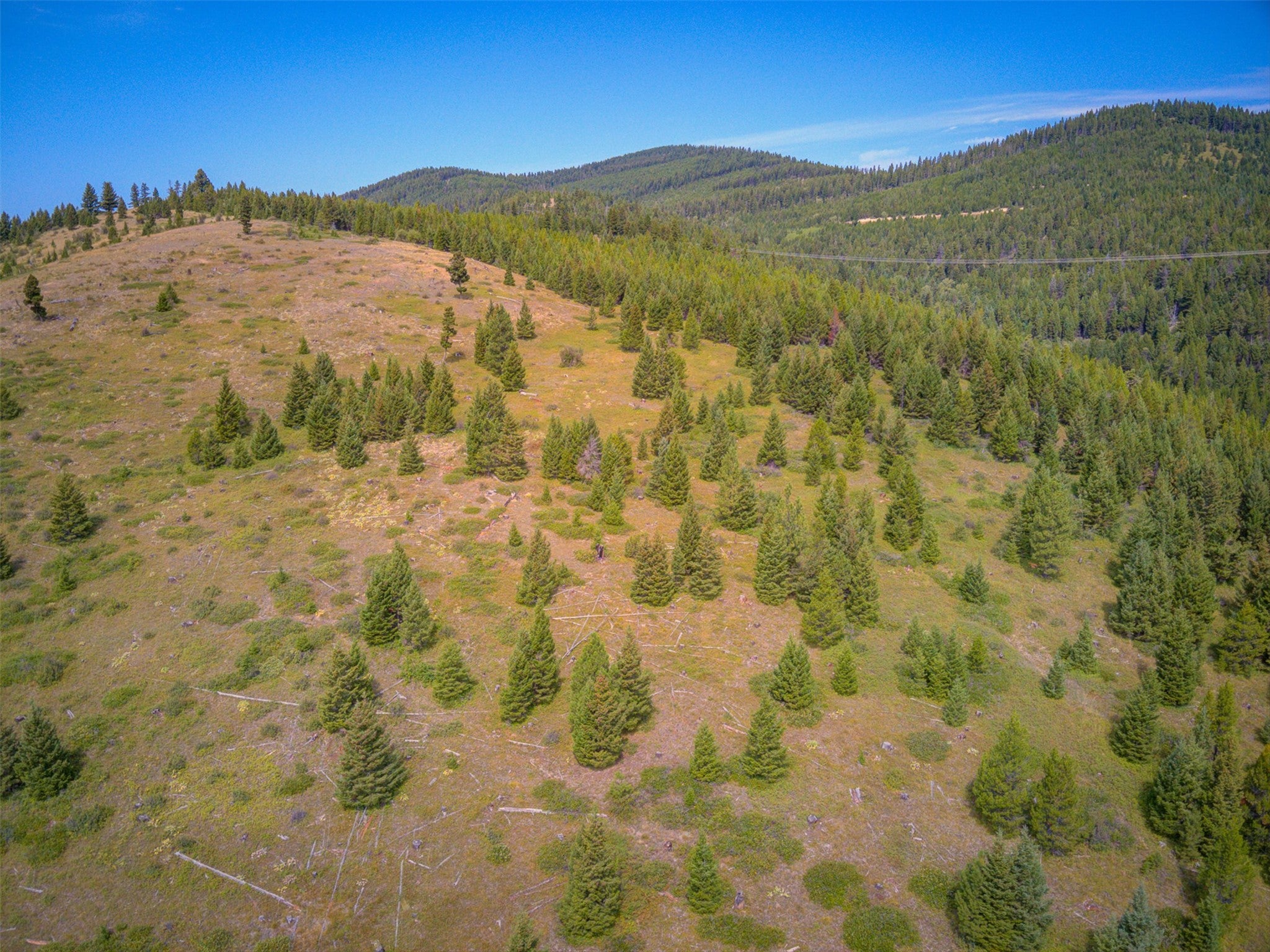 2 2 Bear Springs Road Lincoln, MT 59639 - Photo 31 of 55 Gallery Image 31