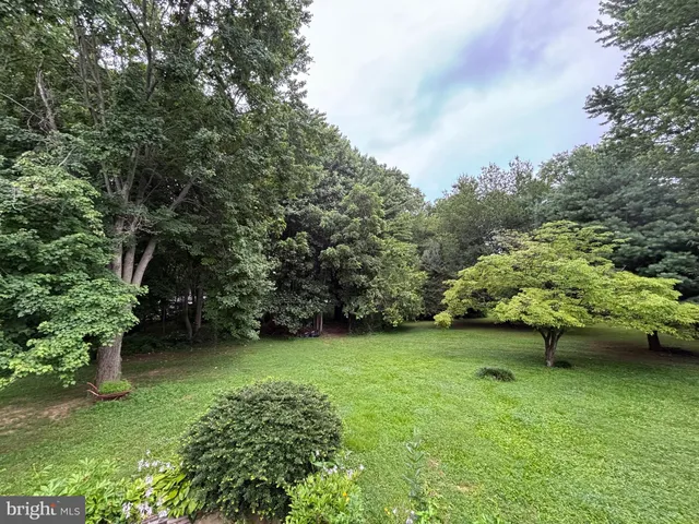 a view of a garden with a bench