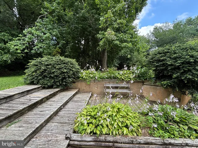 a view of a garden with a bench