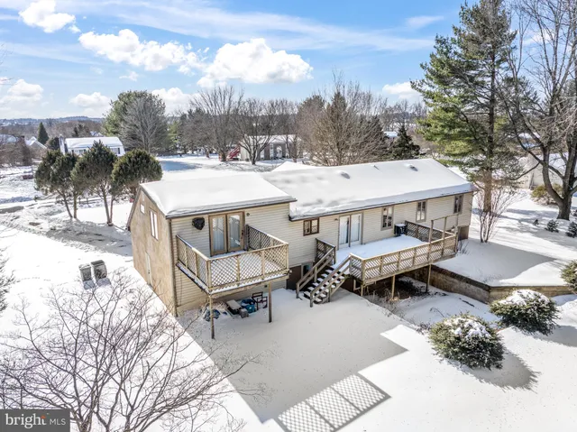 a roof view covered with tall trees