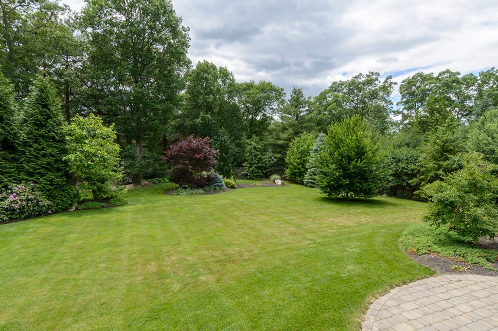 35 Norwich Road Wellesley, MA 02481 - Photo 3 of 25 a view of a field with plants and trees in the background