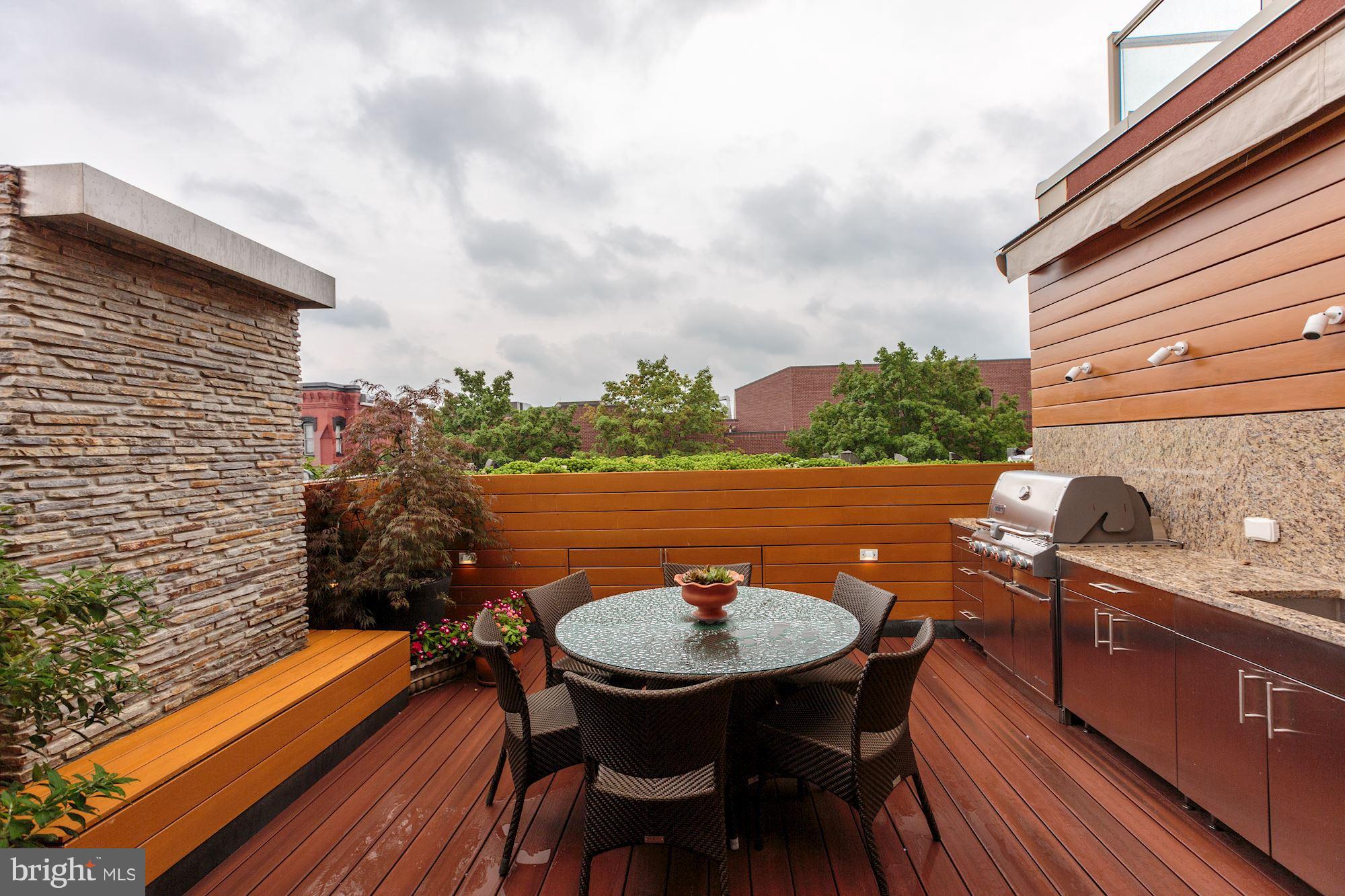 1224 R Street Northwest, Unit 2 Washington, DC 20009 - Photo 19 of 22 Private Rooftop