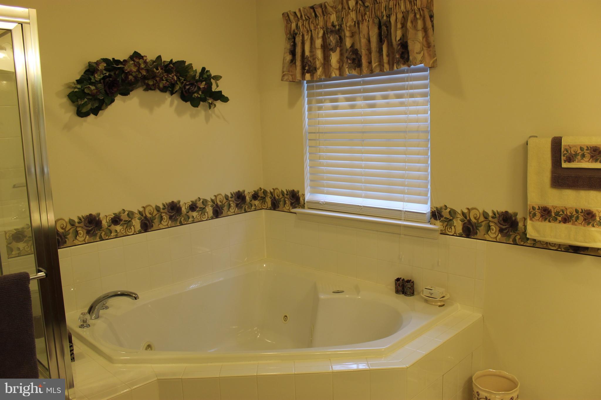 802 Rustic Court Perryville, MD 21903 - Photo 14 of 20 Bath (Master)