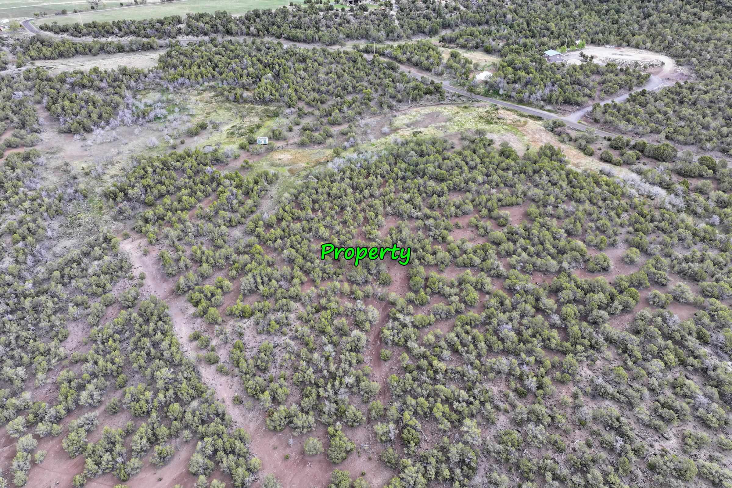 12705 55 Road Collbran, CO 81624 - Photo 28 of 31 a view of a yard with a tree