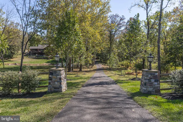 a view of a park with large trees