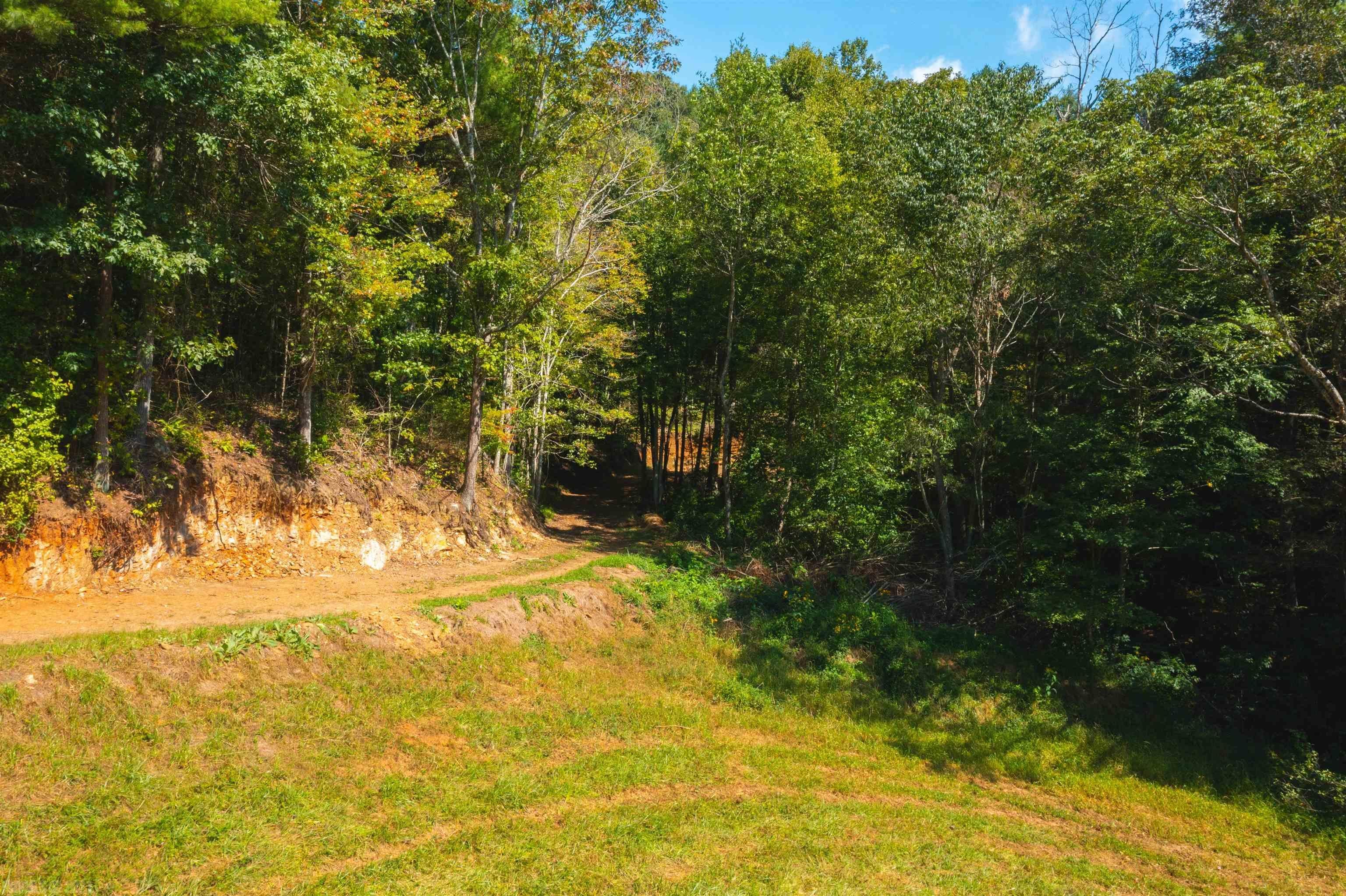 Tbd Beaver Creek Road Northwest Floyd, VA 24091 - Photo 18 of 34 Gallery Image 18