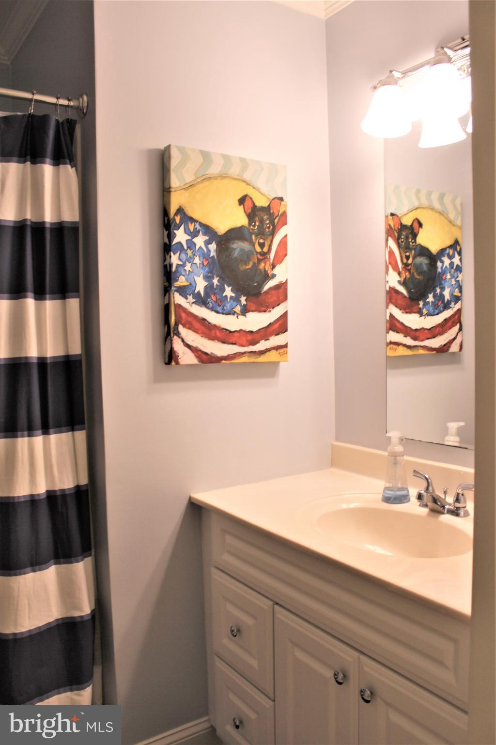 18 Flint Road Langhorne, PA 19047 - Photo 38 of 57 Hall Bath
