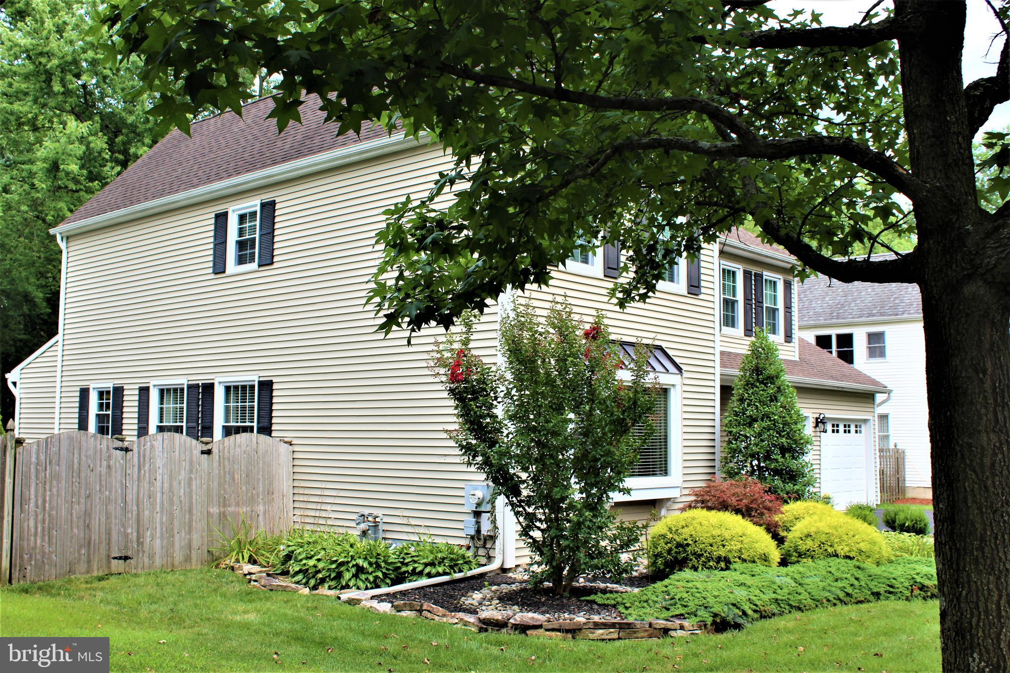 Side Yard