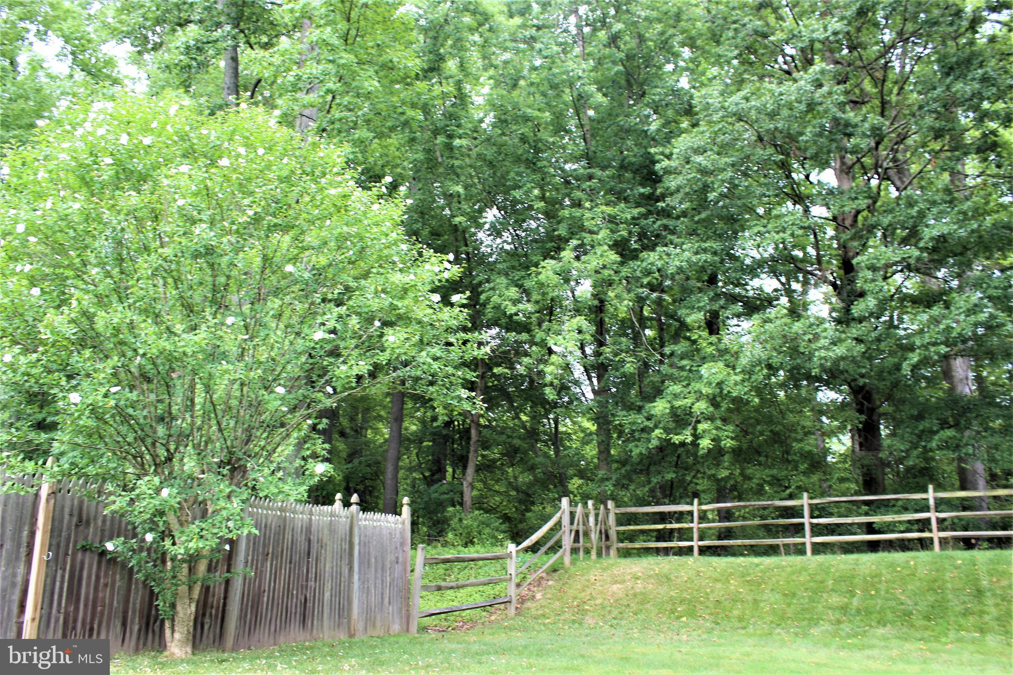 18 Flint Road Langhorne, PA 19047 - Photo 47 of 57 Back Yard