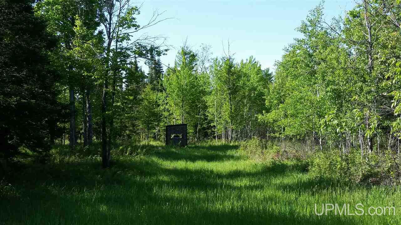 Tbd Off Kime-backlund Road Foster City, MI 49807 - Photo 3 of 12