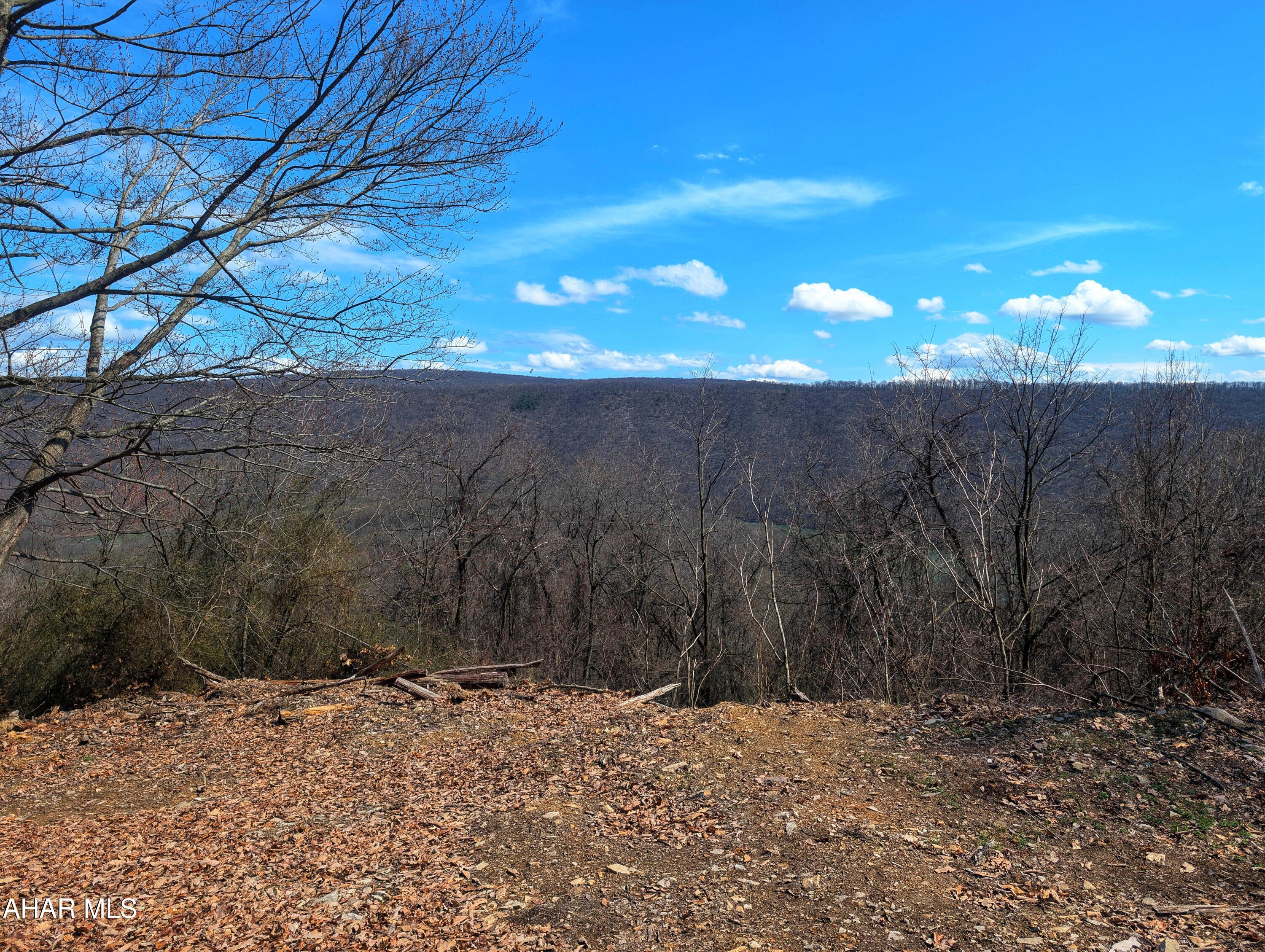 0 Pine Ridge Road Saxton, PA 16678 - Photo 13 of 23