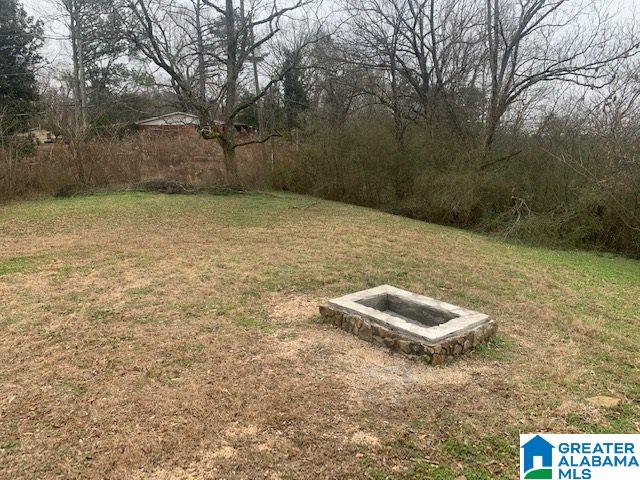 2425 1st Street Trafford, AL 35172 - Photo 19 of 20