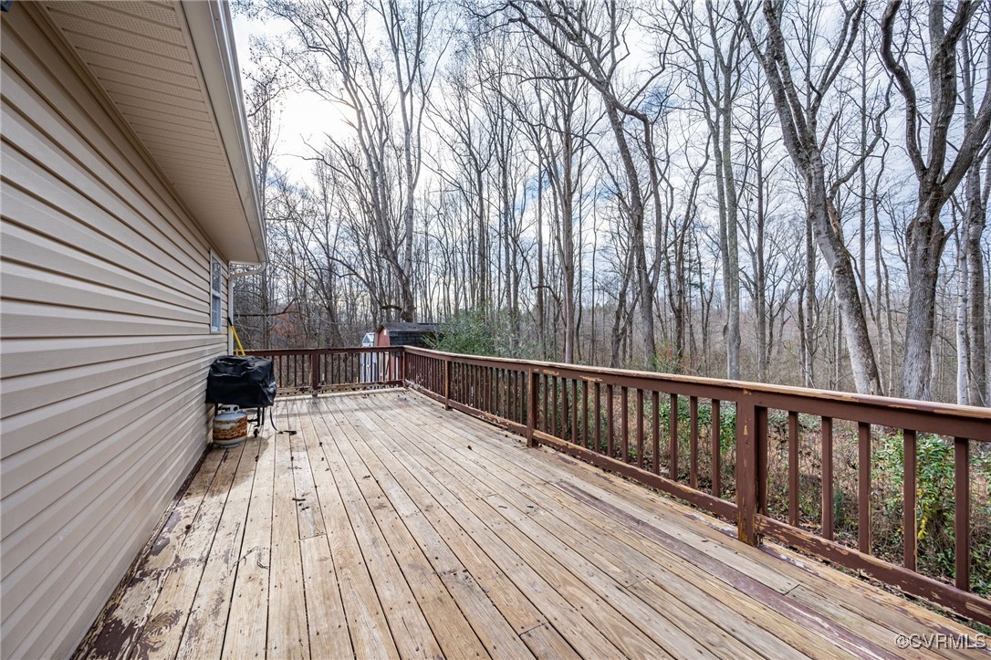 4959 Three Chopt Road Louisa, VA 23093 - Photo 24 of 28 Back deck