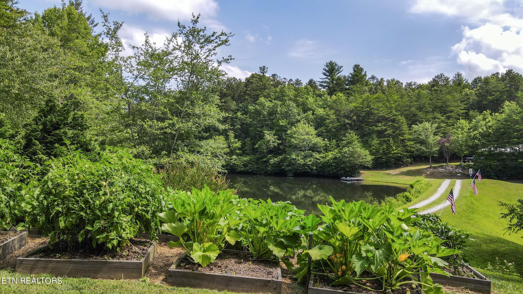 823 Yellow Nugget Road Tellico Plains, TN 37385 - Photo 44 of 59 Gallery Image 44