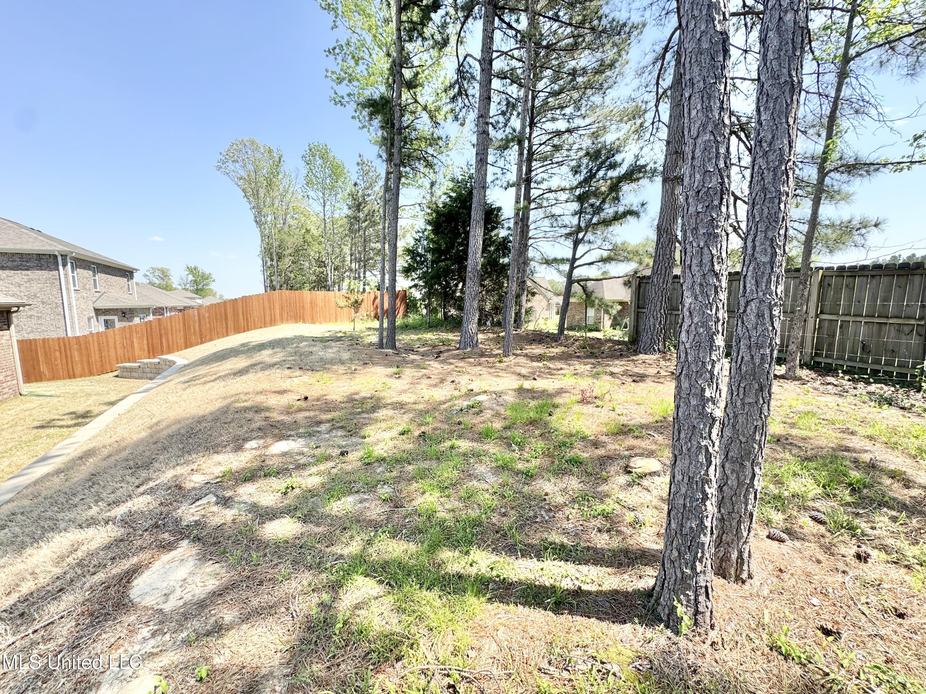 2347 Hyacinth Lane Hernando, MS 38632 - Photo 23 of 29 IMG_9497