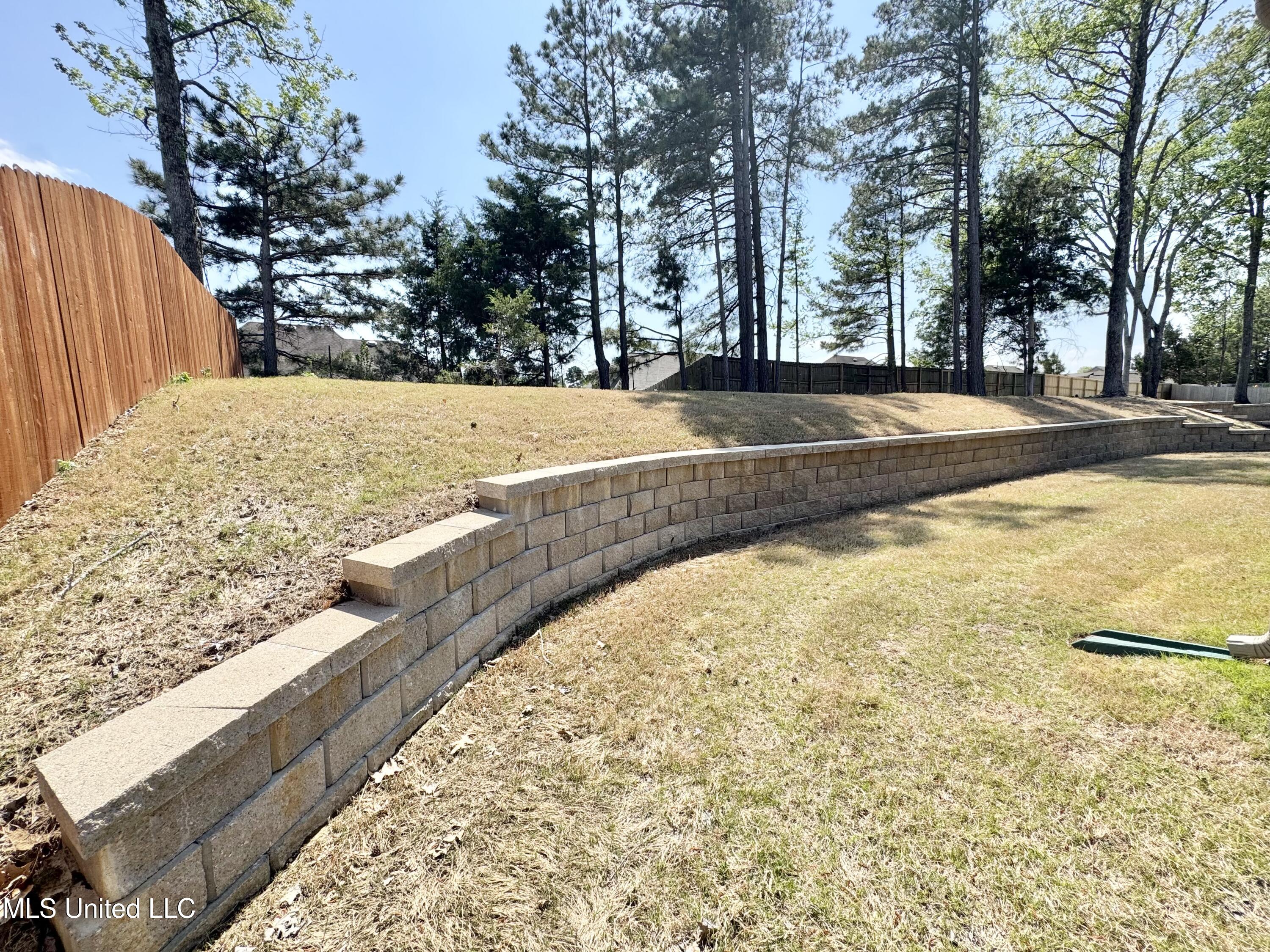 2347 Hyacinth Lane Hernando, MS 38632 - Photo 28 of 29 IMG_9501