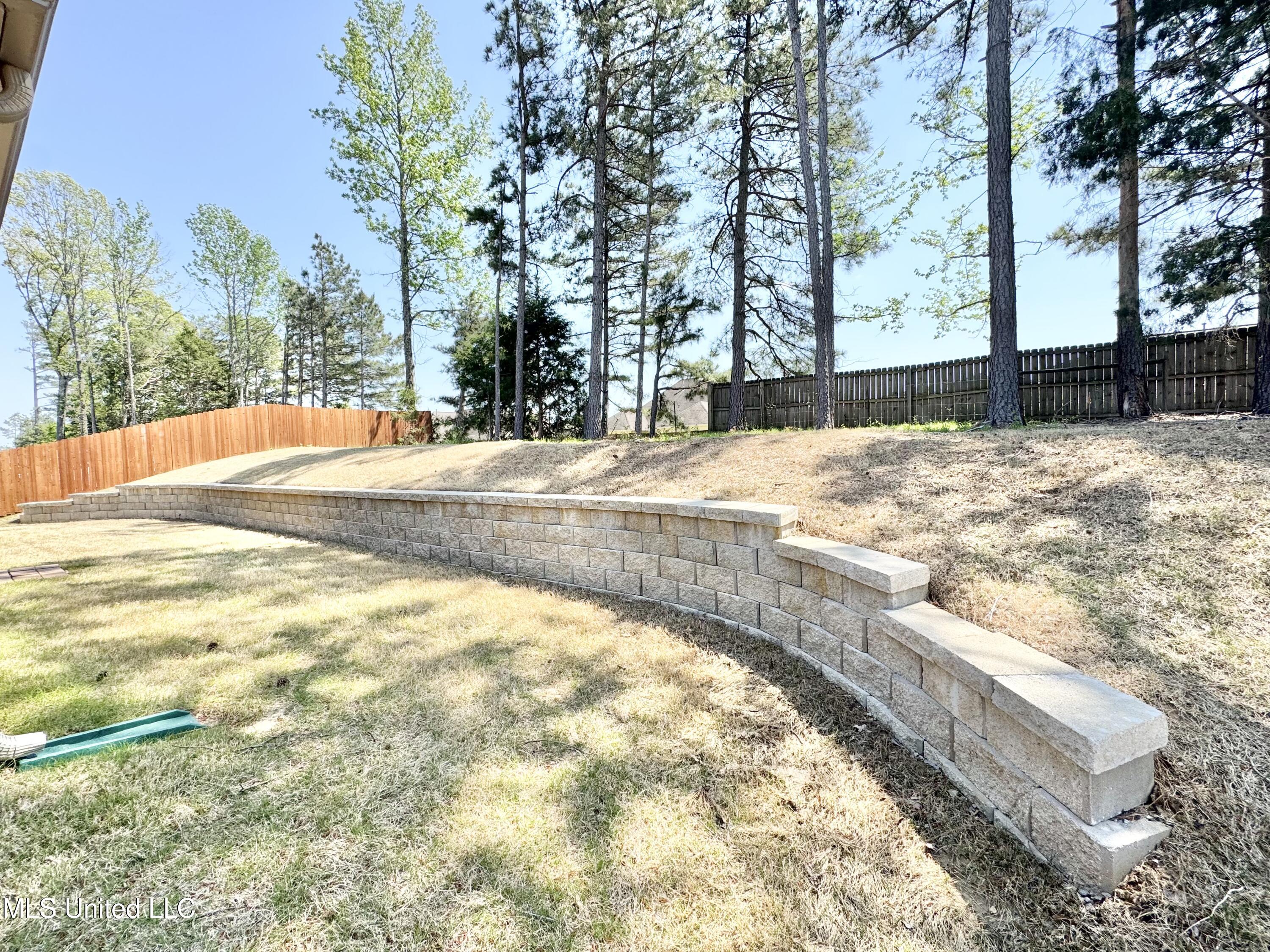 2347 Hyacinth Lane Hernando, MS 38632 - Photo 29 of 29 IMG_9495