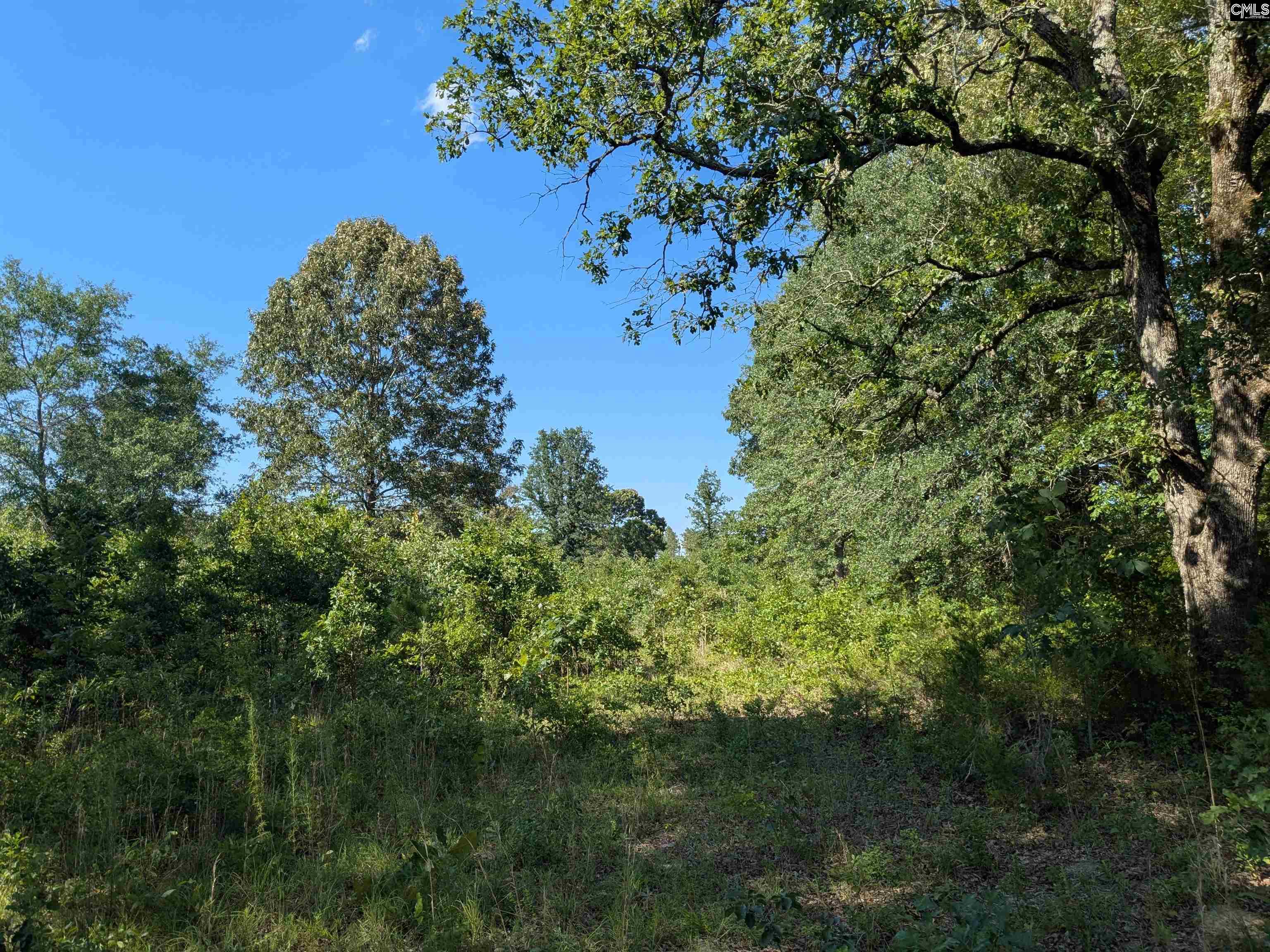 Hound Hollow Road Camden, SC 29020 - Photo 9 of 21 Gallery Image 9