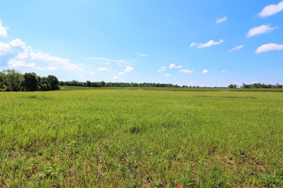 0 Lock Road Centerburg, OH 43011 - Photo 3 of 4 20220818005534756428000000-o