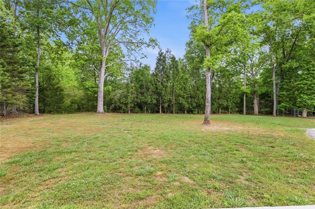 6654 Windvane Point Clermont, GA 30527 - Photo 49 of 70