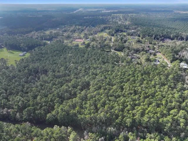 a view of a dry yard