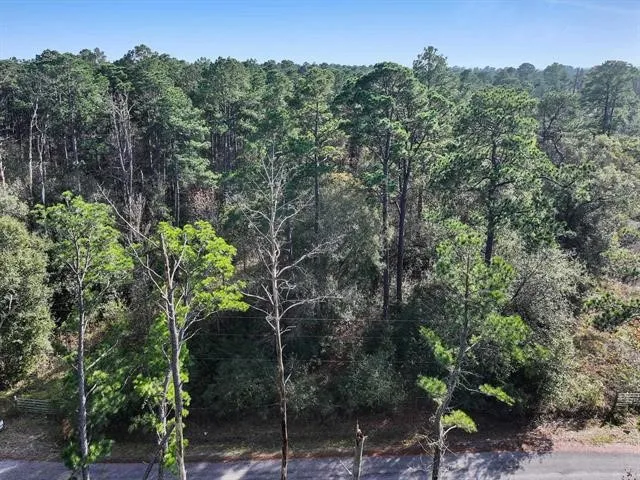 a view of a garden with a tree