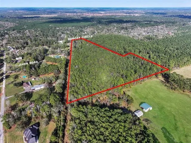 a view of a lush green field