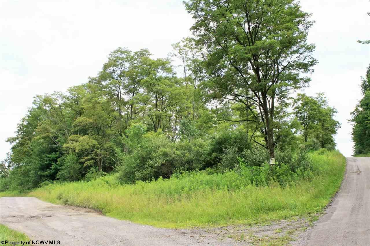 0 Sugar Valley Road Albright, WV 26519 - Photo 5 of 17 Gallery Image 5