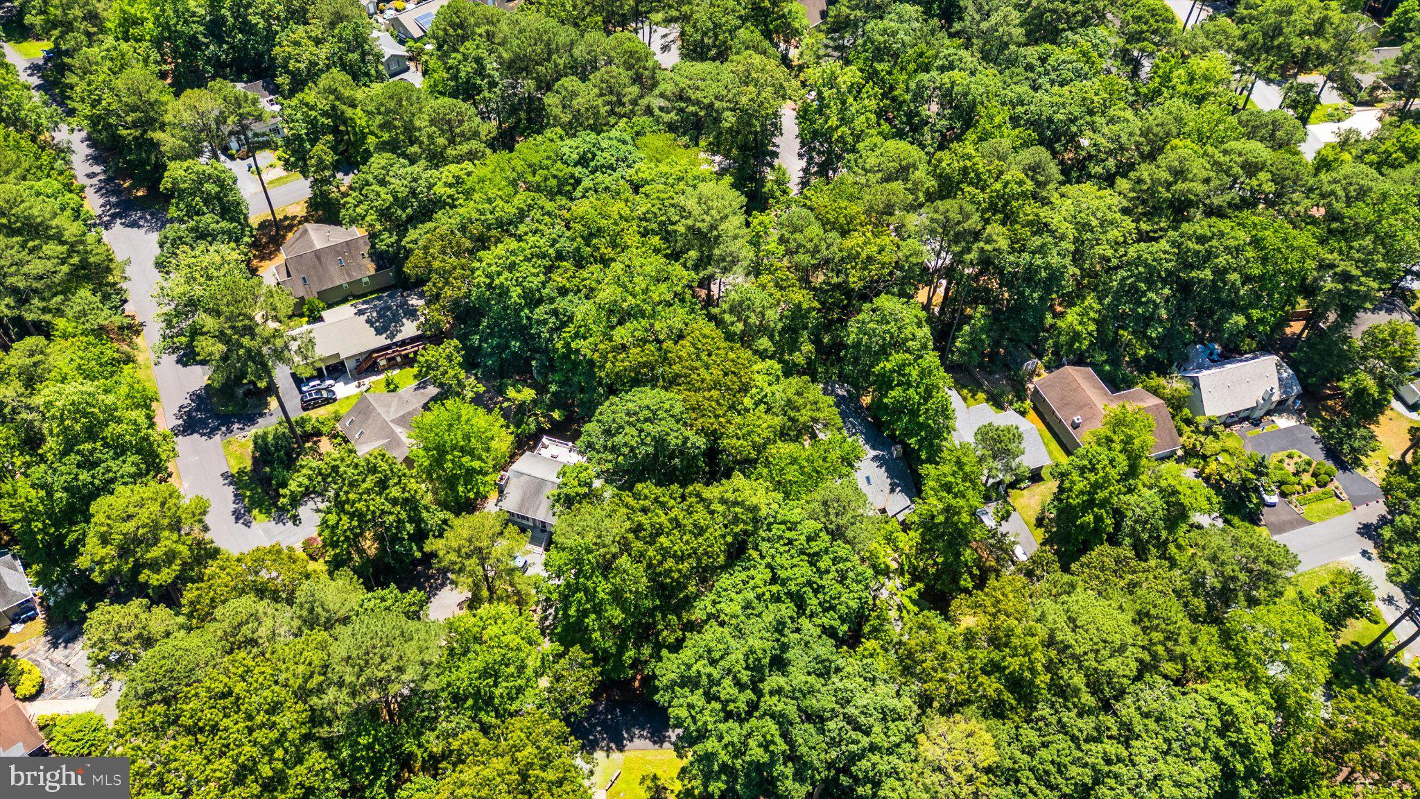 12 Moonraker Road Ocean Pines, MD 21811 - Photo 15 of 17 Lush greenery envelops cozy homes.