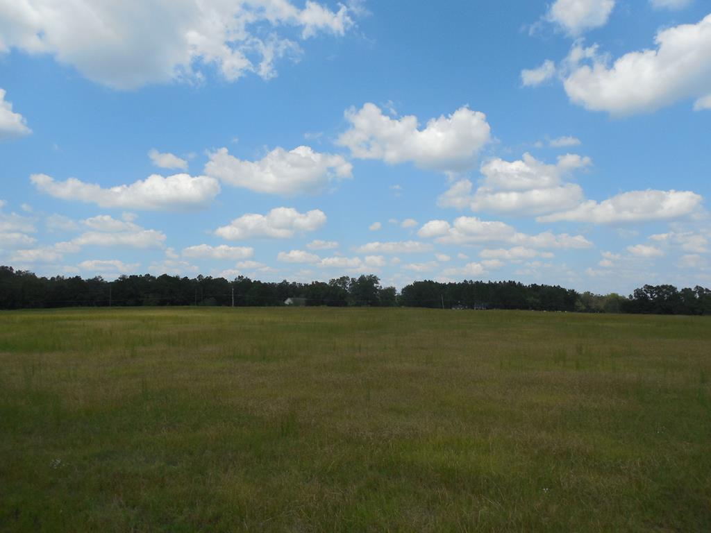 7.1-acre Cobb Road Dothan, AL 36301 - Photo 1 of 1