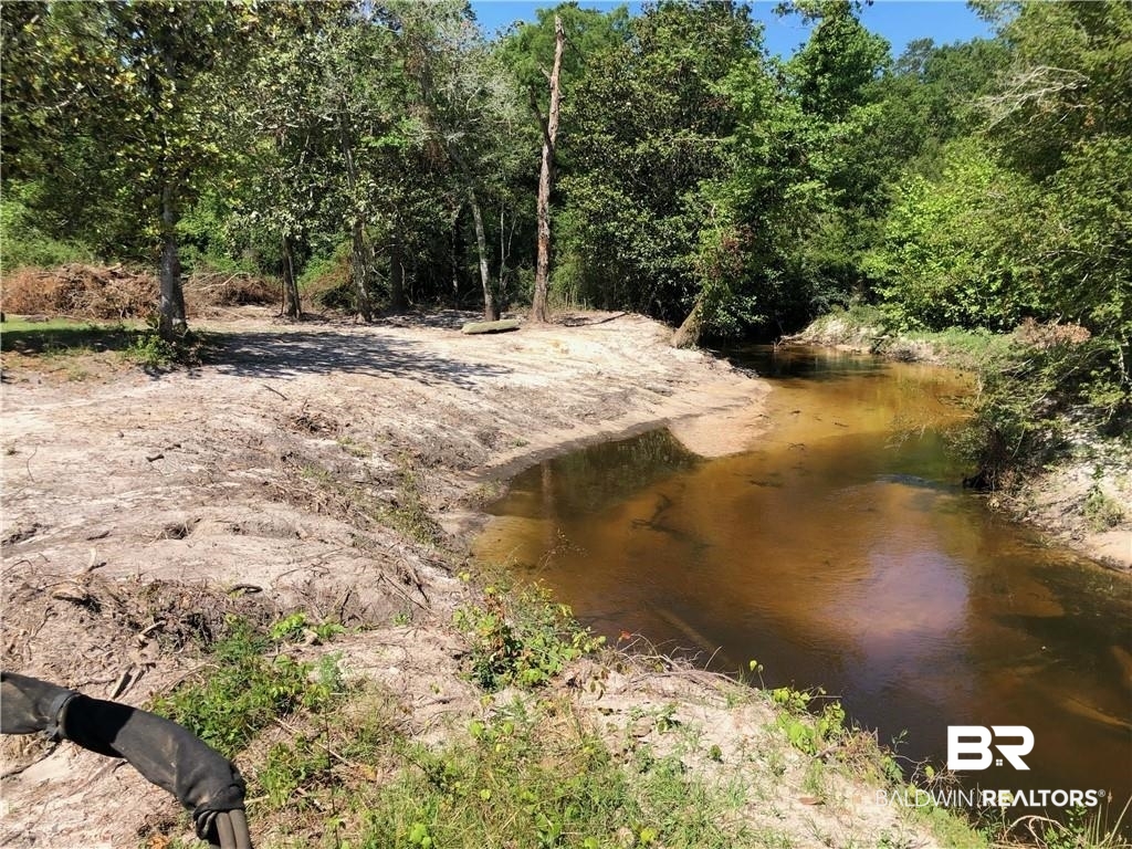 0 Circle R Farm Drive Florala, AL 36442 - Photo 22 of 25