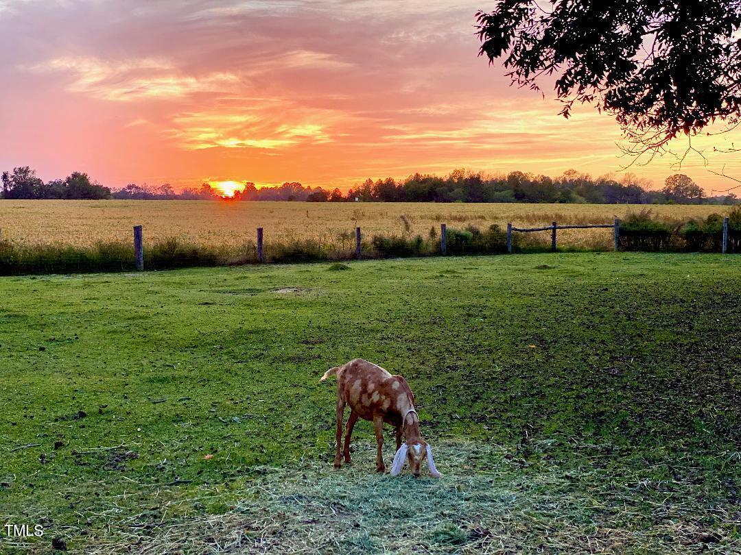 7105 Great Swamp Loop Lucama, NC 27851 - Photo 3 of 65 01