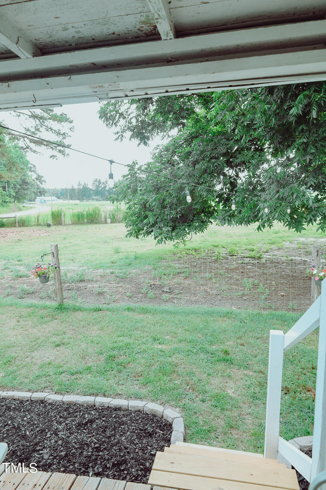 7105 Great Swamp Loop Lucama, NC 27851 - Photo 40 of 65 a view of a yard