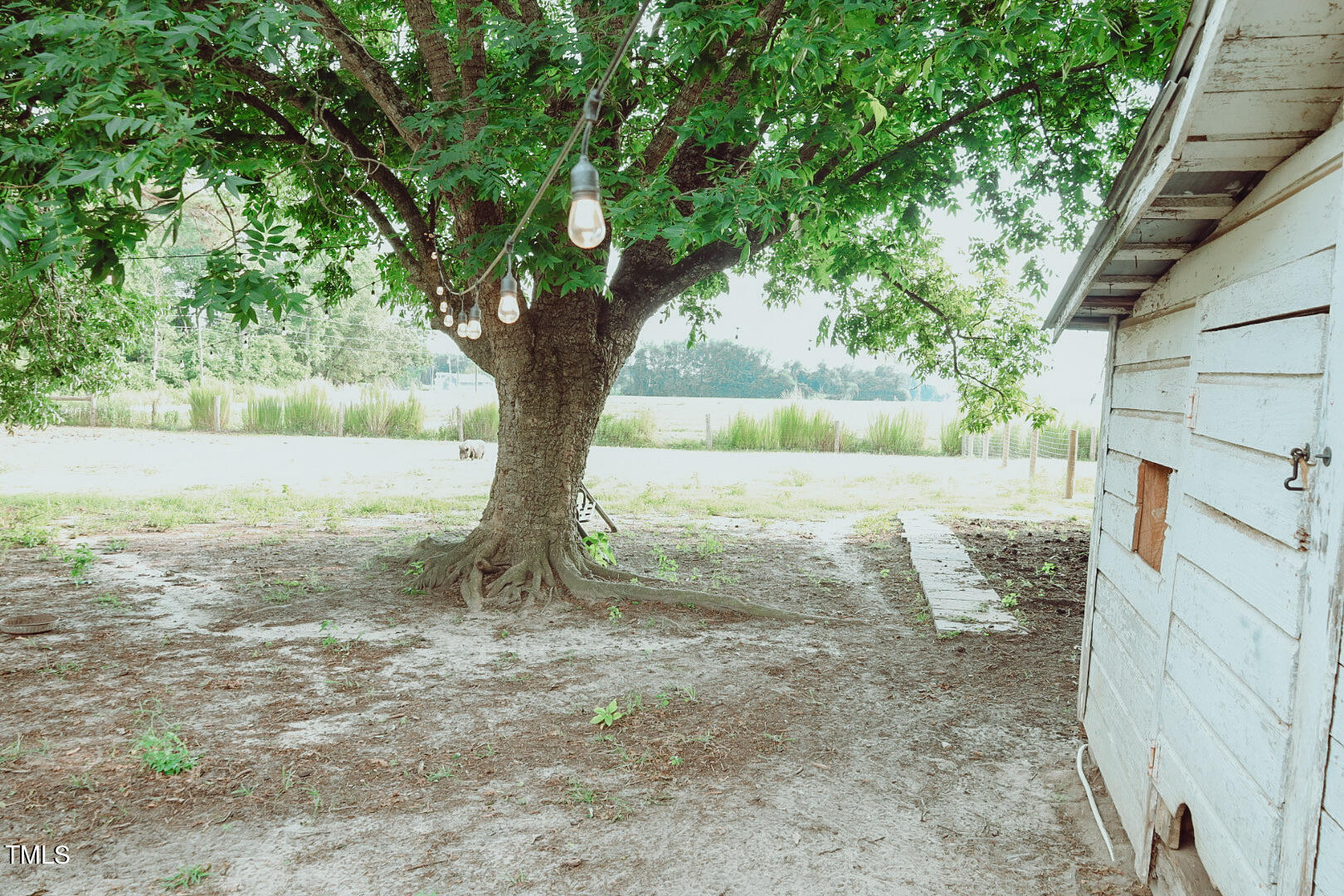 7105 Great Swamp Loop Lucama, NC 27851 - Photo 45 of 65 a view of a yard with an outdoor space