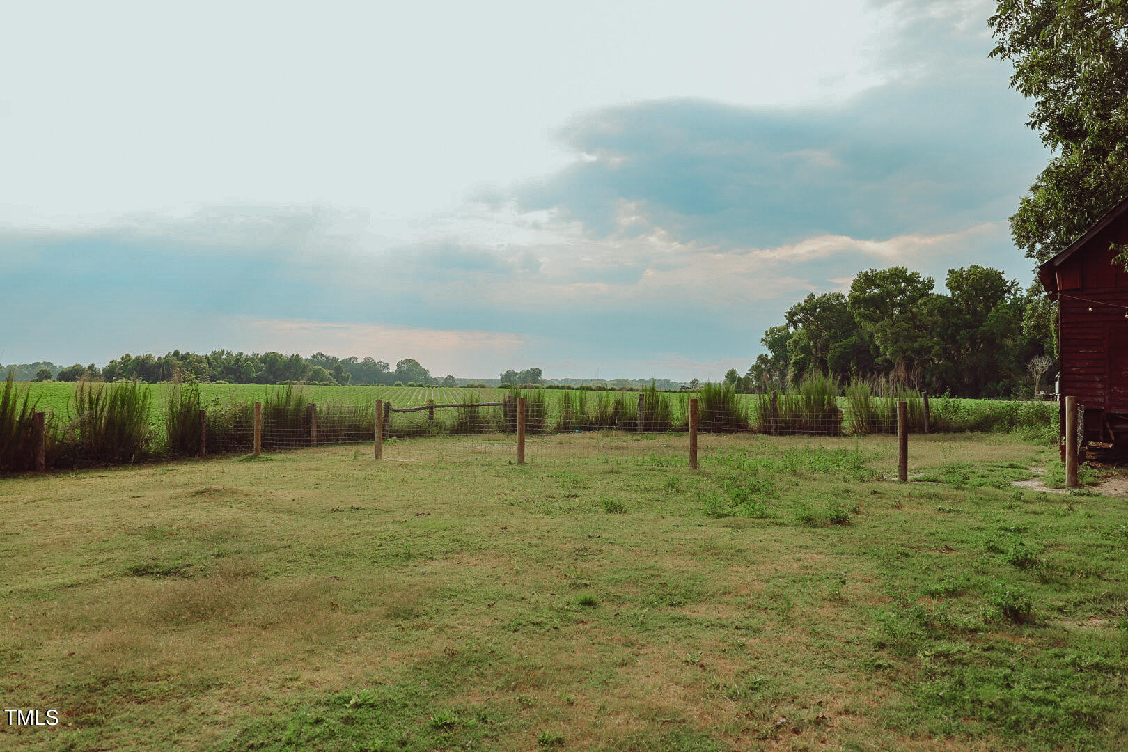 7105 Great Swamp Loop Lucama, NC 27851 - Photo 54 of 65 a view of outdoor space with deck and yard