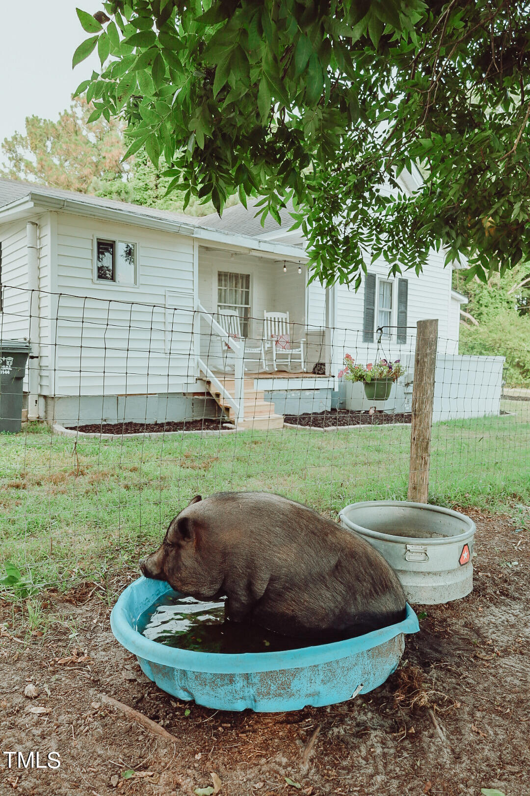 7105 Great Swamp Loop Lucama, NC 27851 - Photo 55 of 65 a view of a backyard with a garden and plants