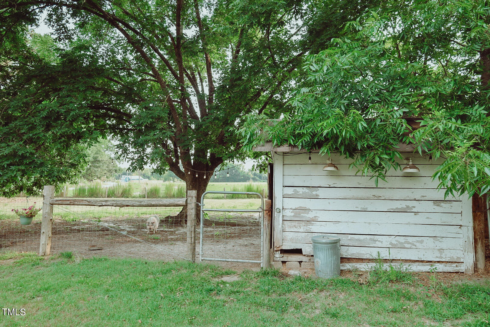 7105 Great Swamp Loop Lucama, NC 27851 - Photo 56 of 65 a view of yard with green space