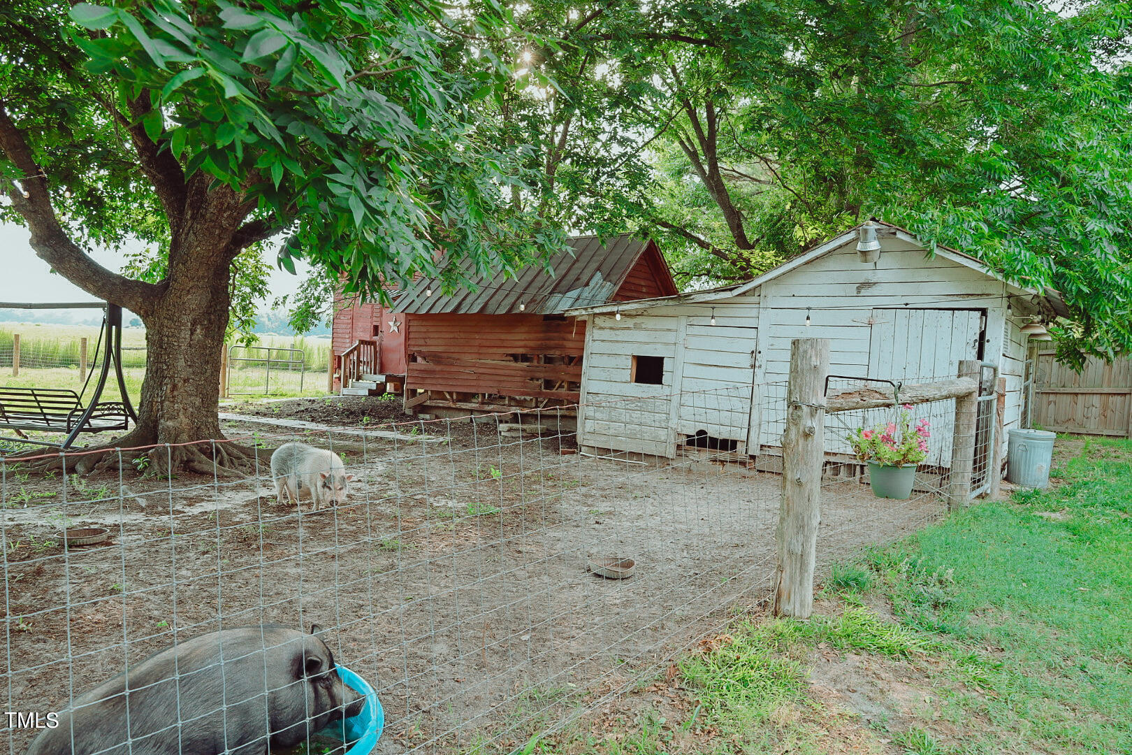 7105 Great Swamp Loop Lucama, NC 27851 - Photo 57 of 65 a view of a house with a yard and large tree