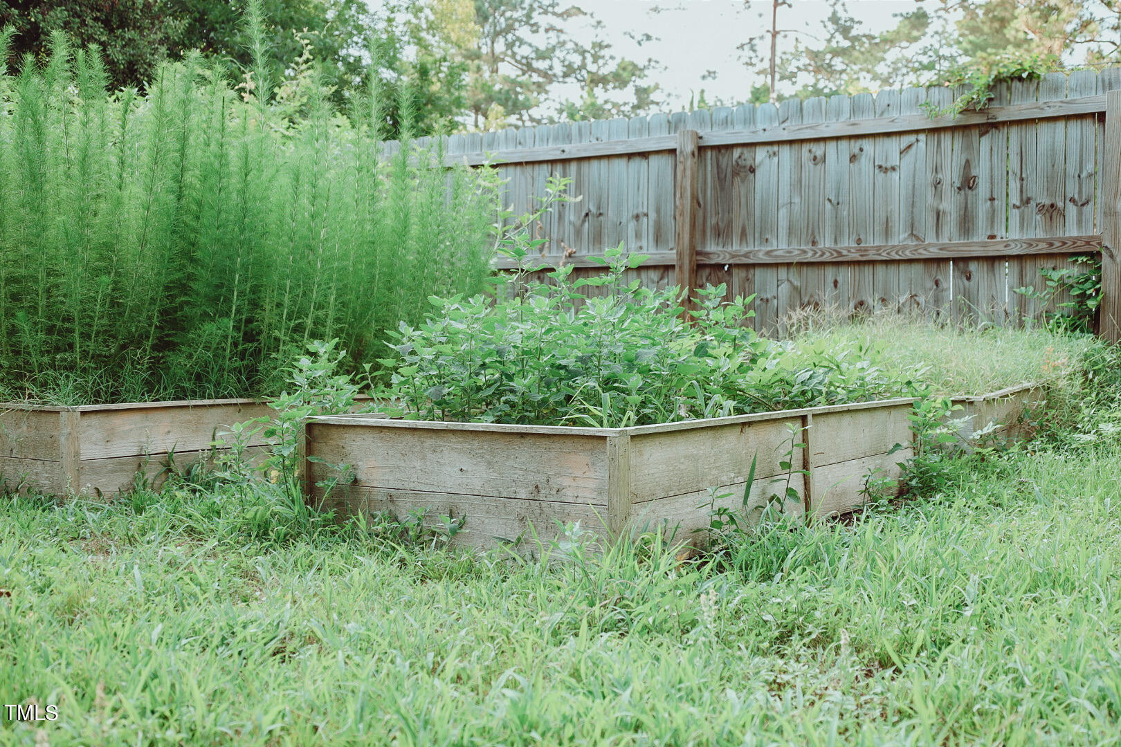 7105 Great Swamp Loop Lucama, NC 27851 - Photo 59 of 65 IMG_2507