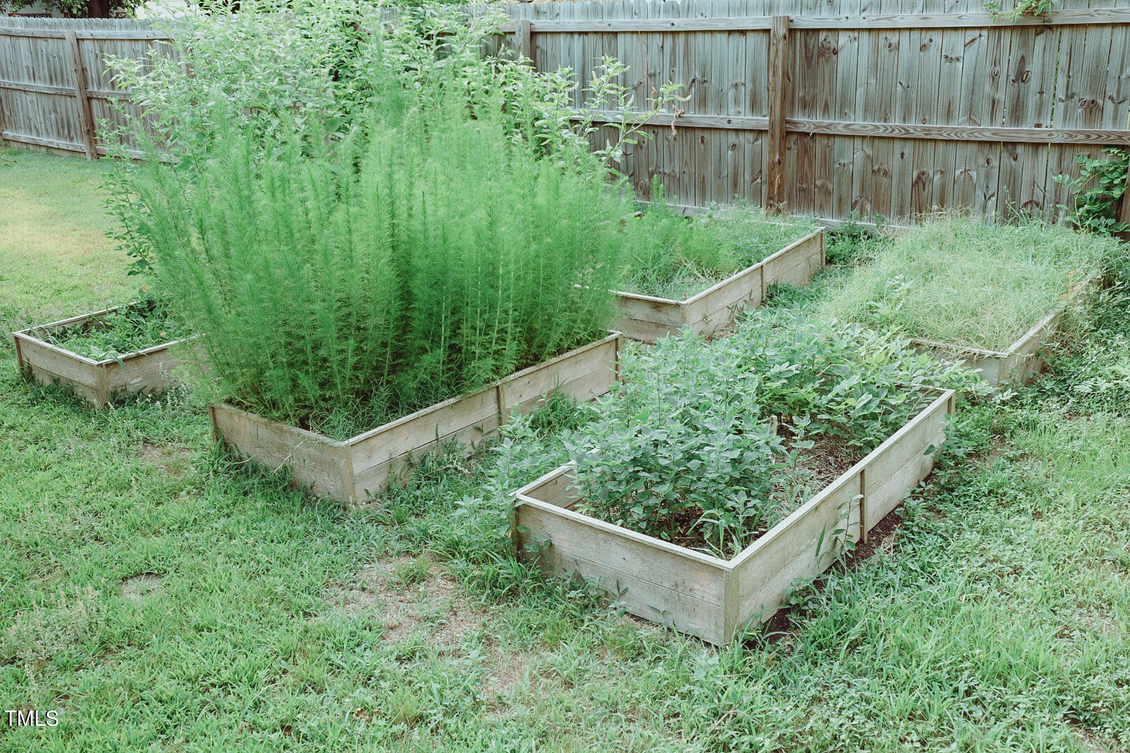 7105 Great Swamp Loop Lucama, NC 27851 - Photo 60 of 65 a backyard of a house with lots of green space