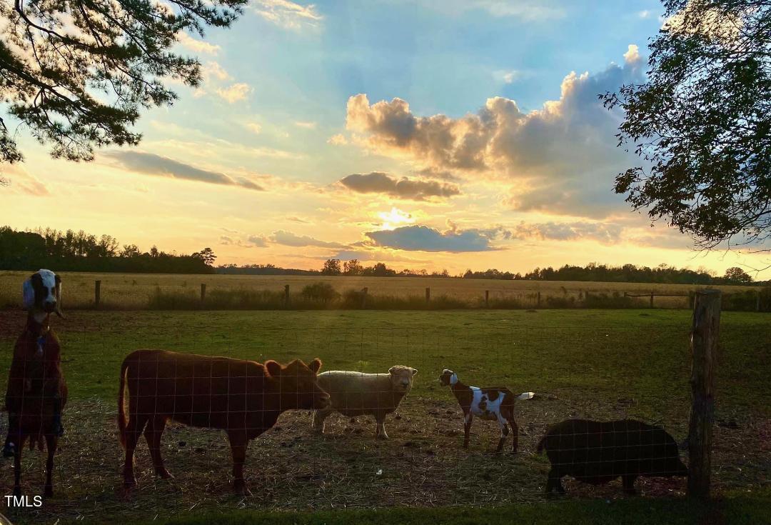 7105 Great Swamp Loop Lucama, NC 27851 - Photo 62 of 65 a view of a lake with a table and chairs next to a yard