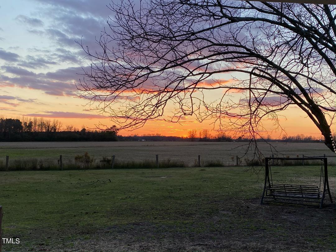 7105 Great Swamp Loop Lucama, NC 27851 - Photo 63 of 65 a backyard of a house with lots of green space