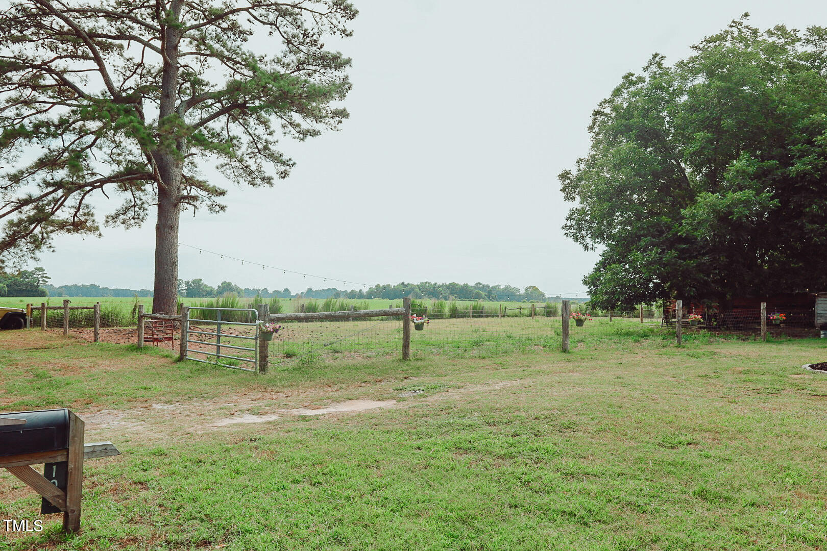 7105 Great Swamp Loop Lucama, NC 27851 - Photo 8 of 65 a view of a park with large trees